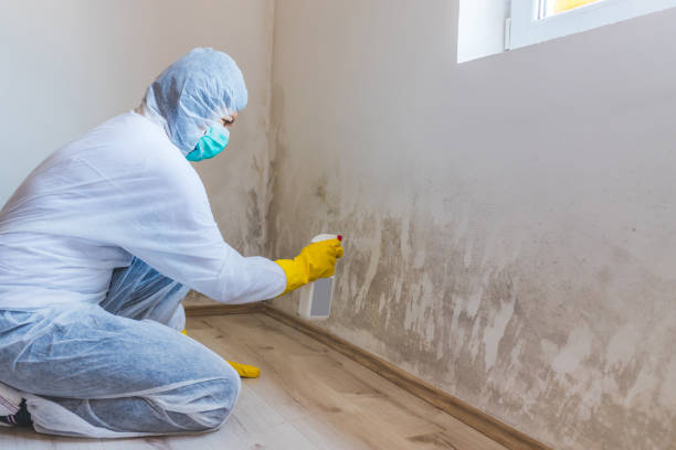 Bathroom Mold Removal assessment in Hunt Valley bathroom