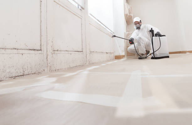 Black mold remediation team in Hunt Valley