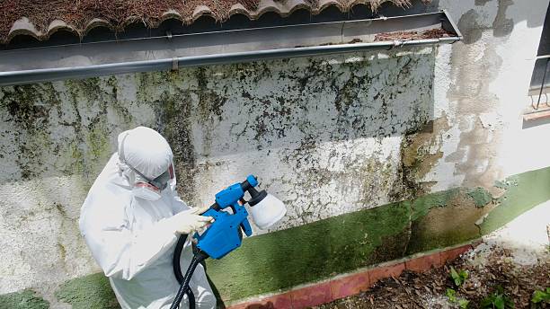 Mold Remediation service in Hunt Valley, Hunt Valley, MD